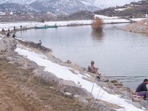 Seydişehir'de sadece ''çim sazanı'' avlamak serbest