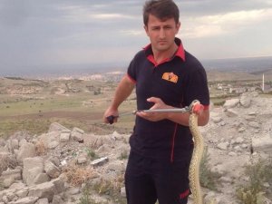 2 metrelik yılanla fotoğraf çekindiler