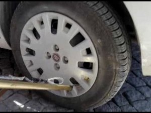 Aracın Tekerleğine Giren Yılanı Esnaf Çıkarttı