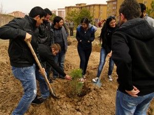 Selçuklu Belediyesi Gençlik Meclisi'nden fidan dikimi