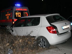 Alkollü sürücü ağaçlara çarparak durabildi