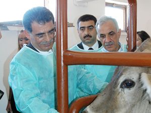 Anadolu Esmeri'ne tüberküloz darbesi