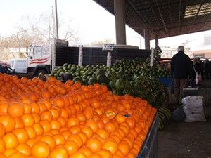 Portakal ile karpuz aynı tezgahta