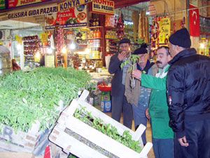 Fideler pazarlarda