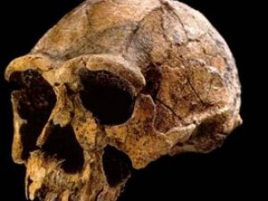 Derenin içinde kafatası ve kemikler bulundu