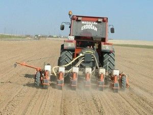 Kulu'da pancar ekimi başladı