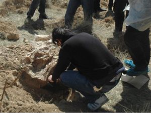 Çuvalda kemik ve kafatası parçaları bulundu