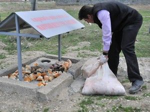 Akşehir'de hayvanlara beslenme noktası