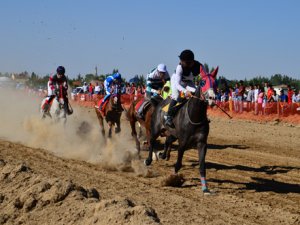 Sarayönü'nde mahalli at yarışları düzenlendi