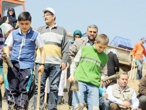 Dost Eli bin fidan dikti