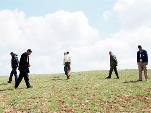 Domalan mantarına büyük ilgi