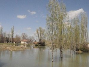 Kanallar taştı, meralar coştu