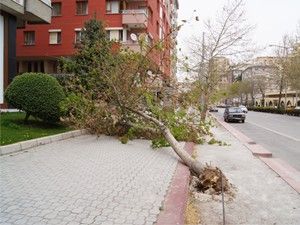 Konya'da şiddetli rüzgar hayatı felç etti