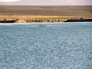 Ayrancı Barajı 24 yıl sonra tekrar taştı