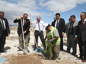 Konya Şeker ağaçlandırıyor