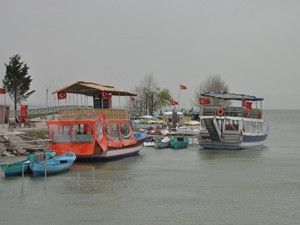 Beyşehir Gölü kanserden kurtuldu