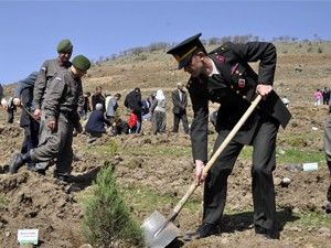 50 bin fidan toprakla buluştu