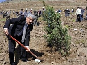 50 bin fidan toprakla buluşturuldu