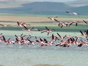 Fotoğraf meraklılarının adresi Düden Gölü
