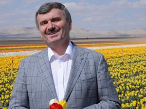 Lale, vatanına kavuştu