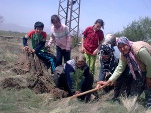 Ağaçlandırma çalışmalarına kadınlardan destek