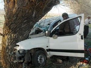 Kamyonet ağaca çarptı: 1 ölü