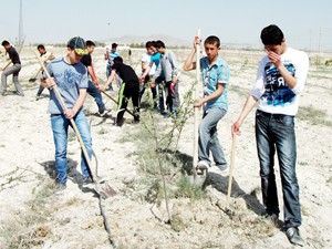 Karapınar'da öğrenciler fidan dikti