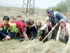 Ağaçlandırma çalışmalarına kadınlardan destek
