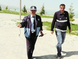 Sular yükseldi yılanlar ortaya çıktı