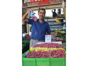 Kilis’te Antep Fıstığı Kilosu 10 Tl’den Satılıyor