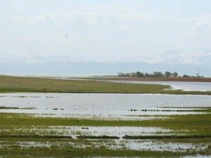 Beyşehir'de tarım alanları su altında kaldı