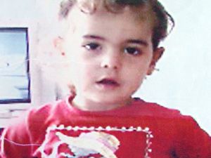 Kokuya duyarlı köpekler arayacak