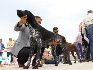 ''En güzel'' seçilmek için yarıştılar