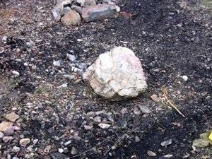 Konya'daki yanmış kadın cesedi davasında müebbet istemi