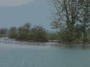 Gezi adası sular altında kaldı
