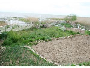 Beyşehir’de ekili bahçeler su altında kaldı