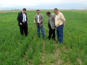 Anıza ekim Sarayönü'nde tartışıldı