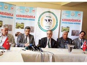 Çölyak hastaları için özel buğday üretilecek