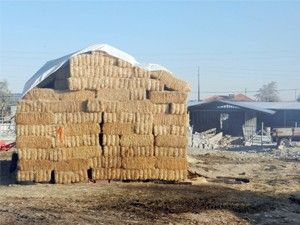 Emirgazi'de saman fiyatları tavan yaptı