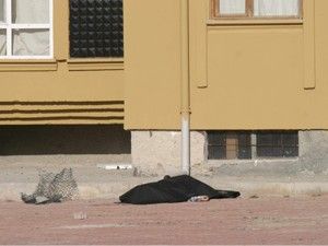 Evin penceresinden düşen yaşlı adam öldü