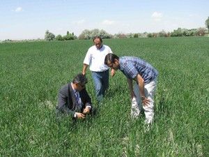 Ereğli'de çiftçilere kımıl uyarısı
