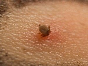 Kabus geri döndü: Sadece bugün 3 kişi öldü!