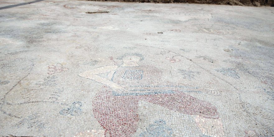 Yonca tarlasında çıkan bin 400 yıllık mozaik koruma altına alındı