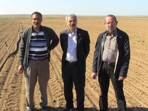 Soya fasülyesi üretilecek
