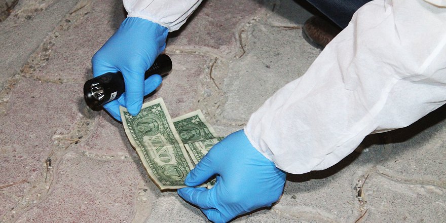 Çöp konteynerindan 1 dolarlar çıktı
