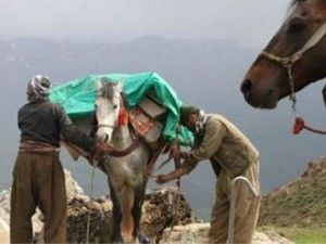 PKK, 10 köylüyü serbest bıraktı