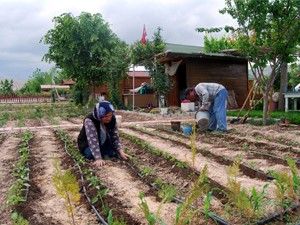 Meraklısına ''hobi bahçesi'' yetişmiyor