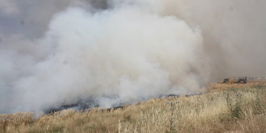 Konya'da anız yangını
