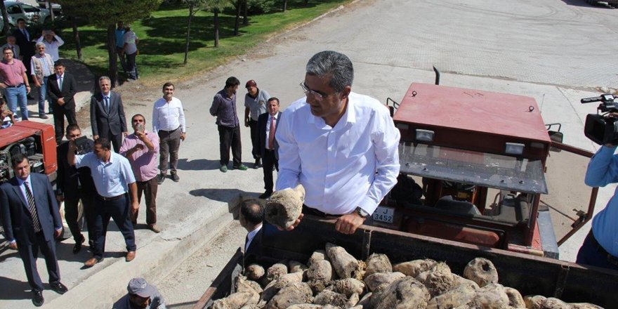 Konya Şeker’de pancar alımı başladı