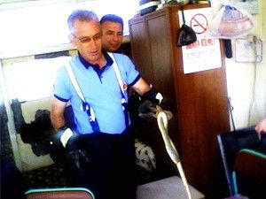 Akşehir'de yılan operasyonu